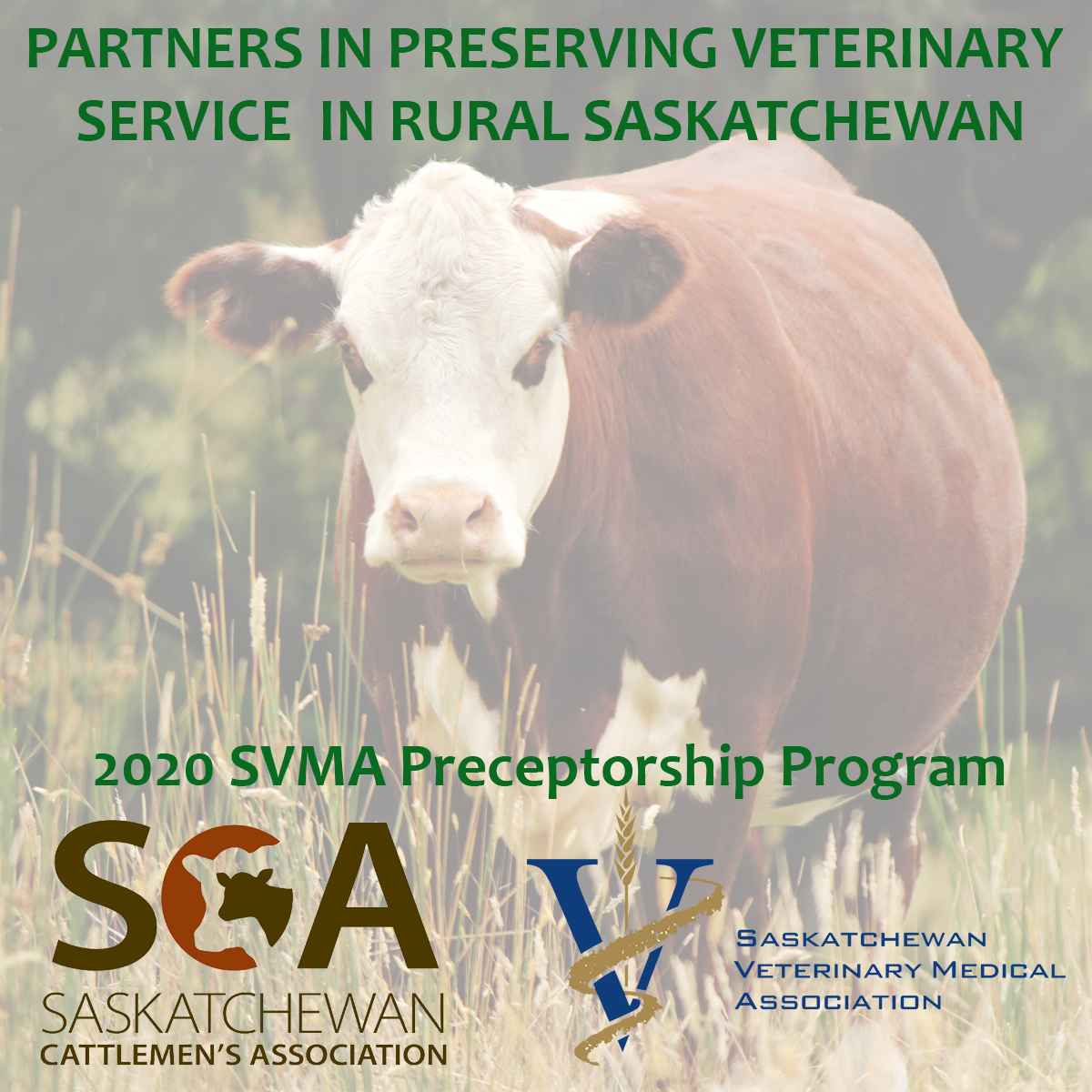 Preceptorship Program SCA Announcement2-2020