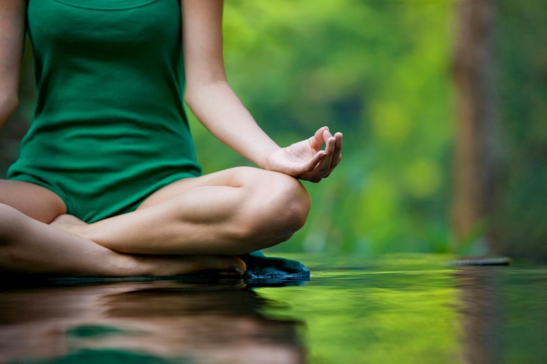 Veterinary Mindfulness Retreat Veterinary Mindfulness Retreat